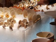 -嘉定凯悦·咖啡厅