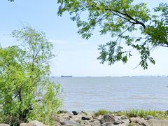 -上海吴淞炮台湾国家湿地公园