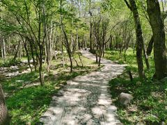 -玉渡山自然风景区