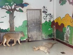 -大连森林动物园