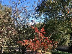 -元大都城垣遗址公园