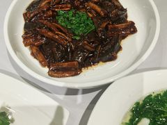 -沈大成(南京东路店)