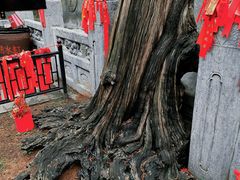 -关林