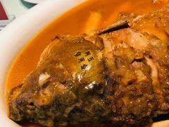 -阿五黄河大鲤鱼(纬三路店)