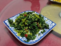 -照金特色农家乐