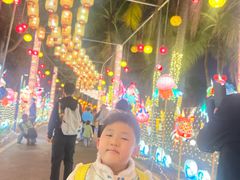 -欢乐海岸椰林沙滩-2025湾区超级灯会
