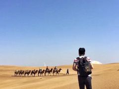 -亿利库布其七星湖沙漠生态旅游区