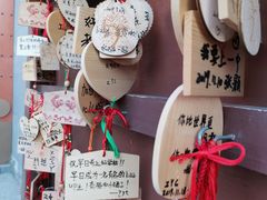 -海合安苏州阳澄半岛乐园