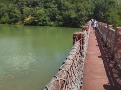 -广州白江湖森林公园