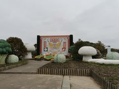 -上海都市菜园