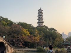-江心屿景区