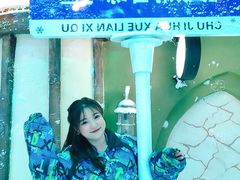 -世界之窗阿尔卑斯冰雪世界