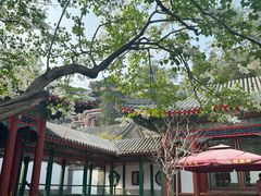 -宫事颐庭·老佛爷贵寿下午茶(颐和园店)