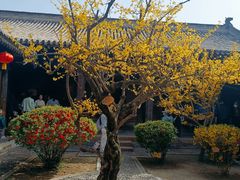 -胡氏古民居建筑