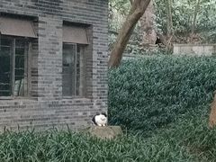 -杭州植物园