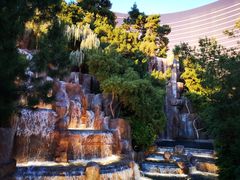 -拉斯维加斯永利酒店