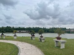 -上海海湾国家森林公园