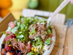 -油梨树AVOCADO TREE(顺义新国展店)