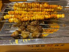 -福苗小骆驼烧烤(望京店)