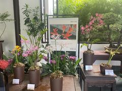 -杭州植物园