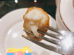 -上海大宁福朋喜来登酒店大堂吧(共和新路店)
