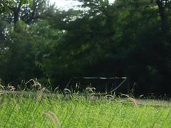 -汉长安城未央宫国家考古遗址公园