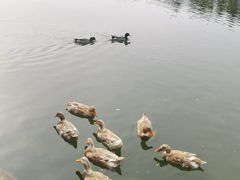 -上海怡沁园度假酒店