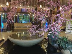 -航空小镇温泉