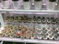 -KKV(深圳宏发大仟里店)