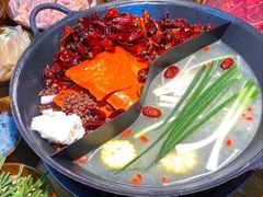 -阳阳老火锅(小南门店)