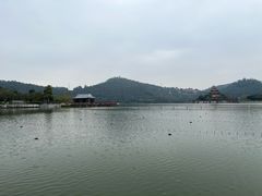 -顺峰山公园