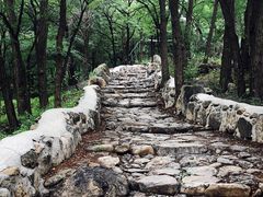 -阳台山自然风景区