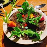 无需提前点菜，今日同事小聚