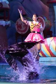 -大连圣亚海洋世界
