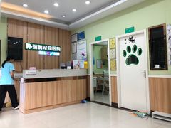-瑞鹏宠物医院·夜间急症·心超·猫科(祖庙分店)
