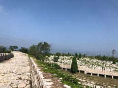 -原山国家森林公园