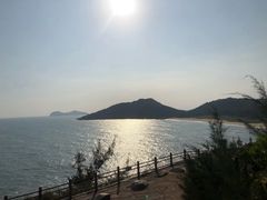 -广东惠东海龟国家级自然保护区