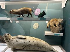 -国家自然博物馆