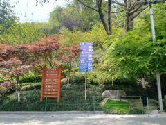 -龙头寺公园