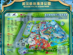 -海合安武汉极地海洋公园