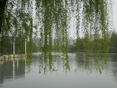 -大宁公园