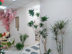 -臻美薈美容养生美甲美睫專門店