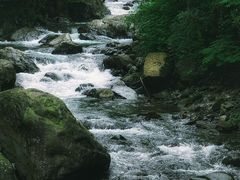 -瓦屋山景区