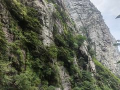 -白鹿洞书院