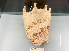-天津古林古海岸遗迹博物馆