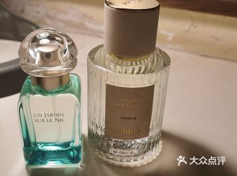 最近的心头物。 chole的北国雪松，老姐送的生日礼