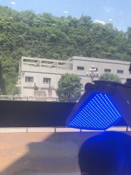 -碧莲盛·不剃发植发