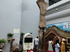 -自贡恐龙博物馆