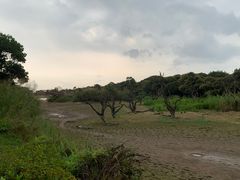 -鹤之洲湿地公园
