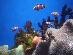-海合安武汉极地海洋公园